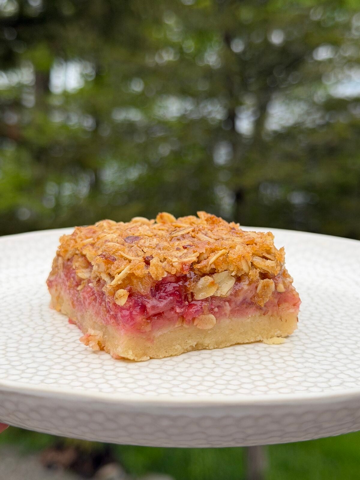 A square piece of fruit crumble bar with a crumbly oat topping sits on a white patterned plate, held outdoors with trees in the blurred background.
