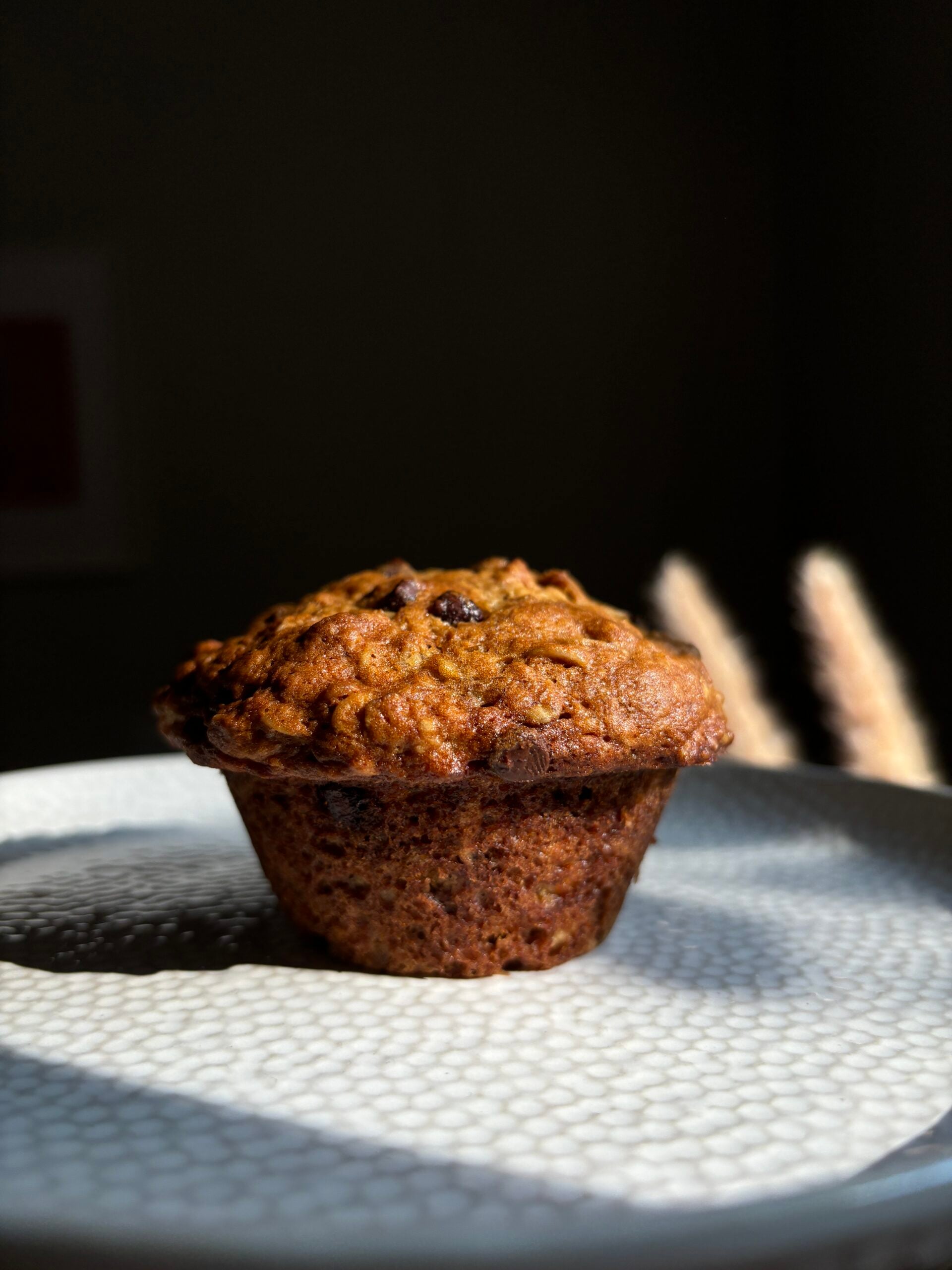 A single muffin with a textured top sits on a white, patterned plate, illuminated by natural light from the side.