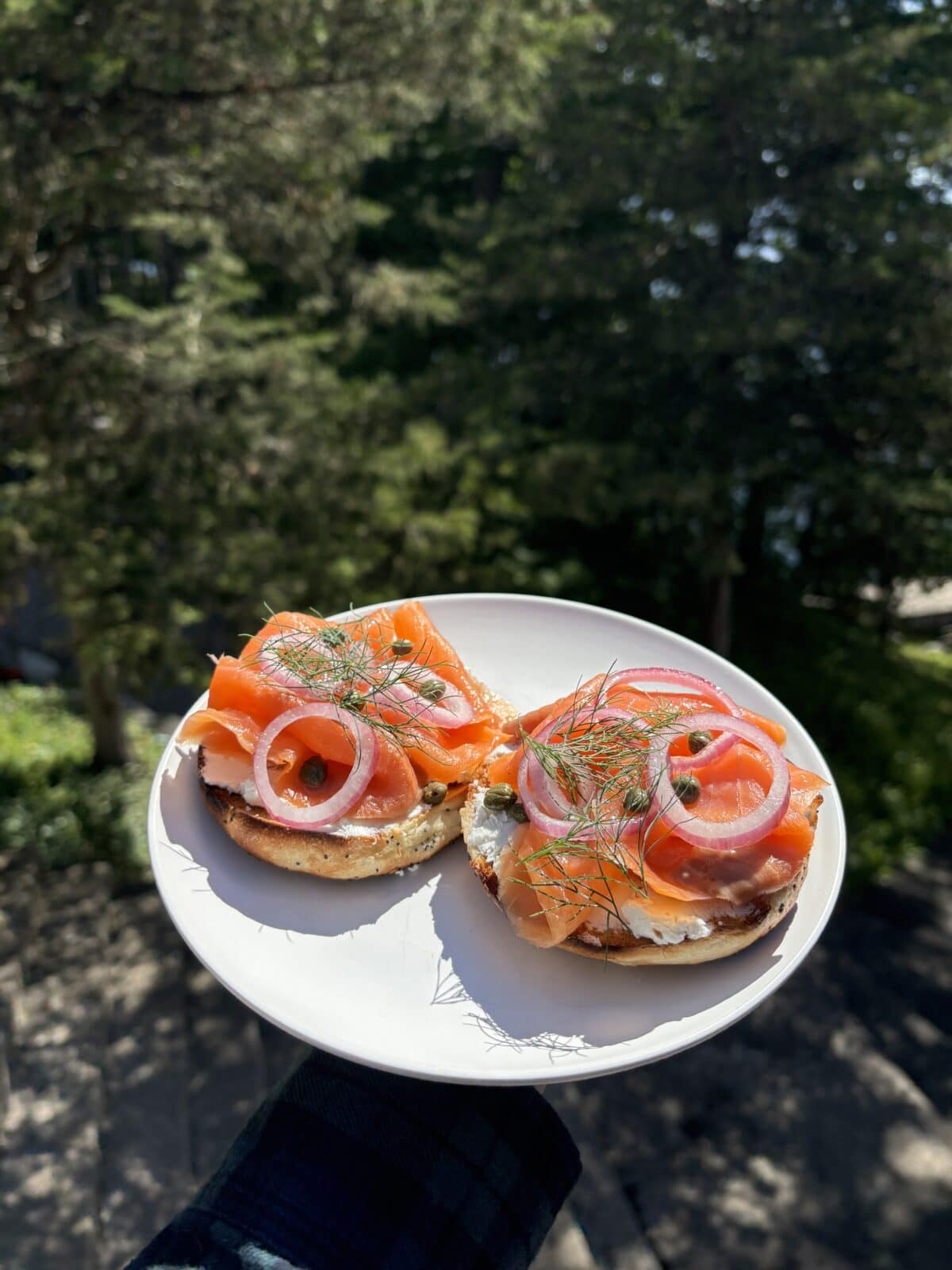 A white plate with two bagel halves topped with cream cheese, smoked salmon, capers, red onion slices, and dill, held outdoors with trees in the background.